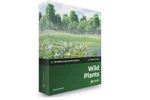 CGAXIS WILD PLANTS 3D播种蓟， 雏菊，风铃草，鞣质，蓍草植物模型系列第91卷【模型】