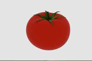 C4D模型 水果 西红柿 洋柿子 番茄【模型】