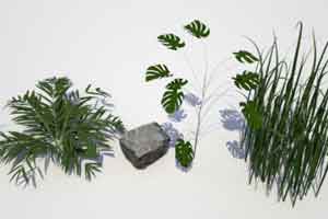 C4D模型 植物 石头 草【模型】