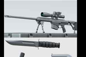 枪模型 狙击步枪和箱子【模型】