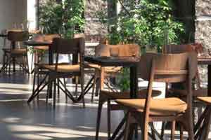 茶餐厅模型 木椅 木桌 植物 灌木 玻璃杯 水杯 玻璃瓶 餐具 刀叉【模型】