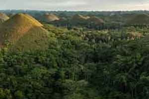 110张 5K 热带雨林【Photobash - Tropical Hills】【照片素材】