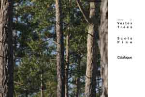 C4D植物 树木【Vertex Trees - Scots Pine Bundle】【模型】