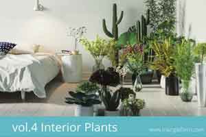 21个加装拍台植物模型【Triangleform - Vol. 4 Interior Plants】