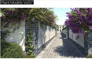 31个墙蔓植物模型 爬墙植物【Maxtree - Plant Models Vol.37】