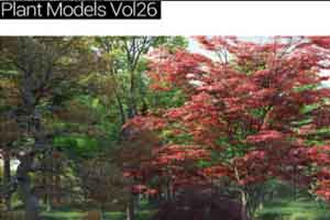 23个春秋树木模型【MT Plant Models 26】【模型】