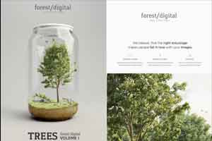 5K 绿色植物图片素材【Forest Digital - Vol.1-5】
