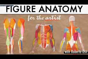 人体骨骼绘画教程【Craftsy - Figure Anatomy for the Artist by Roberto Osti】