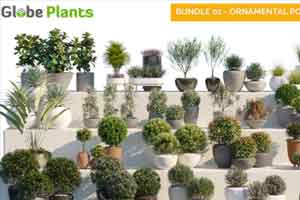 众多观赏植物盆栽植物模型【Globe Plants - Bundle 01 - Ornamental and Decorative Pot Plants】【免费】