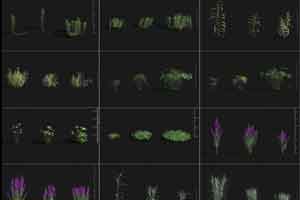 Maxtree - Plant Models Vol 29【植物模型】【免费】