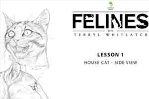 动画绘画教程【Felines with Terryl Whitlatch】【免费】