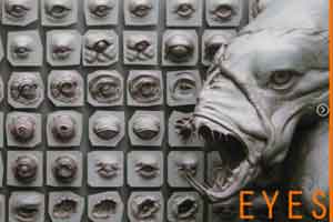 ZBrush怪兽眼球+眼珠笔刷【EYES - 28 Zbrush VDM creature eyes + 15 Eyeballs IMM brush】【免费】
