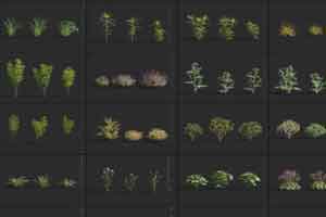 30个植物模型 草垛植物模型【Maxtree Vol.61】