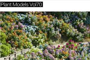 花朵模型【Maxtree - Plant Models Vol. 70】