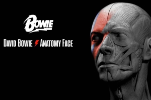 ZBrush 肌肉人头模型【David Bowie Face Anatomy - Ecorche】