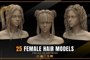 25个头发预设模型【25 Hair Models ( All 3d Software ) 】