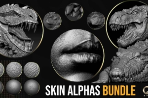 ZBrush各种皮肤Alphas贴图【CGSphere Skin Alphas Bundle】