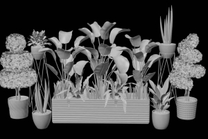 盆摘植物模型