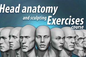 Blender头部解剖与造型练习课程[Head anatomy and sculpting exercises course]