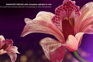兰花开花3D文件【Beautiful Animated Orchid Flower 3D model 3D model】