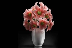 粉色花瓶花朵模型【FLOWER1 3D model】