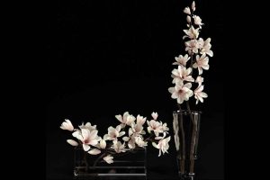 兰花花朵花瓶模型【Magnolia 2 3D model】【免费】