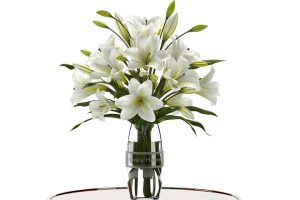 花瓶中的白色百合花【white lilly 3D model】