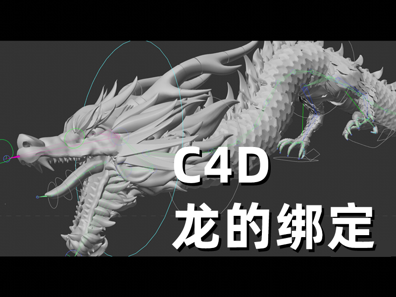C4D龙的绑定【C4D01】