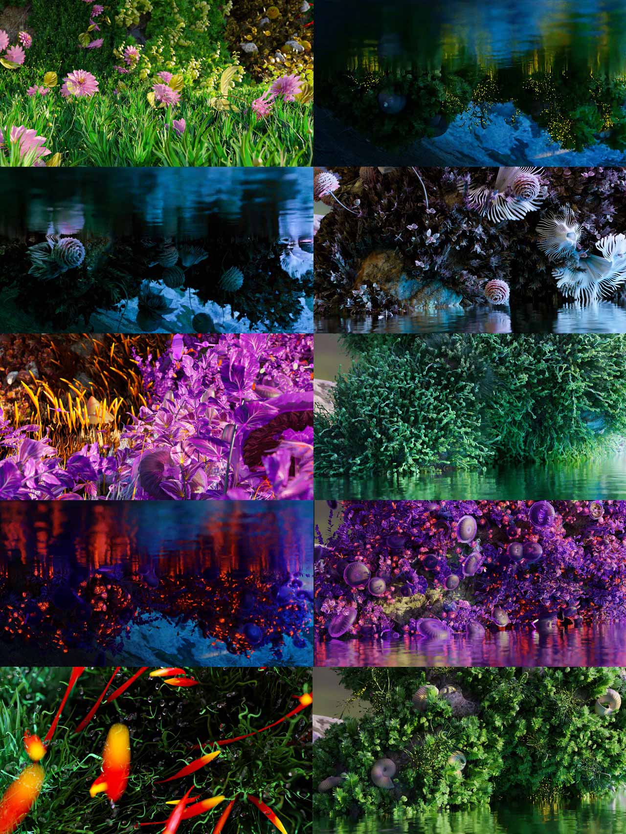 程序化苔藓资产【Mossify】