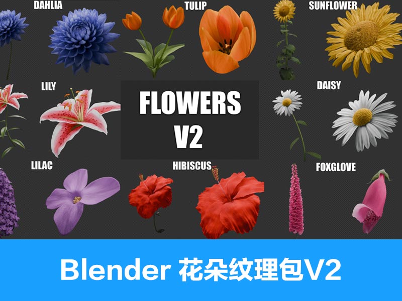 Blender花朵预设V2