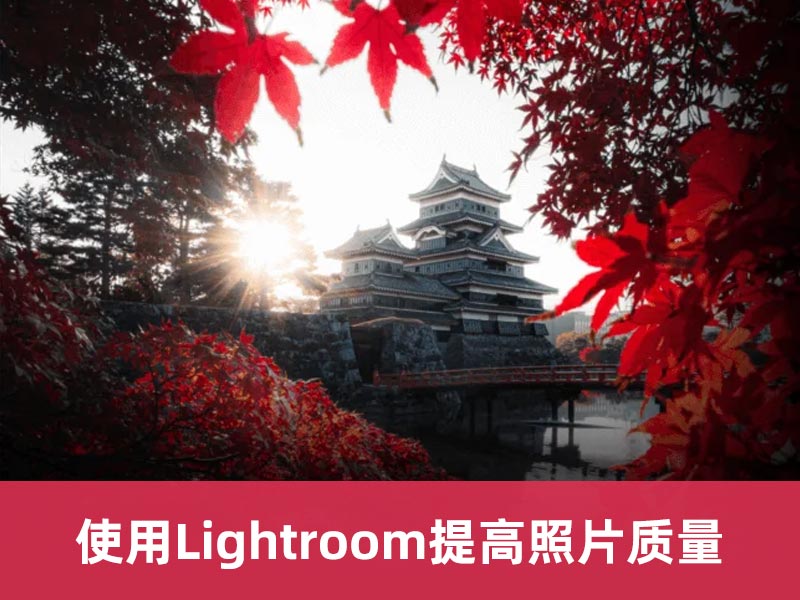 如何使用Lightroom提高照片质量【38】