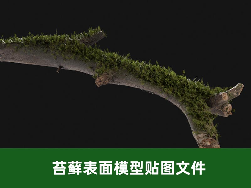 苔藓表面 + 苔藓模型贴图文件