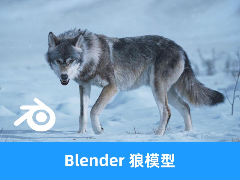 Blender写实狼模型