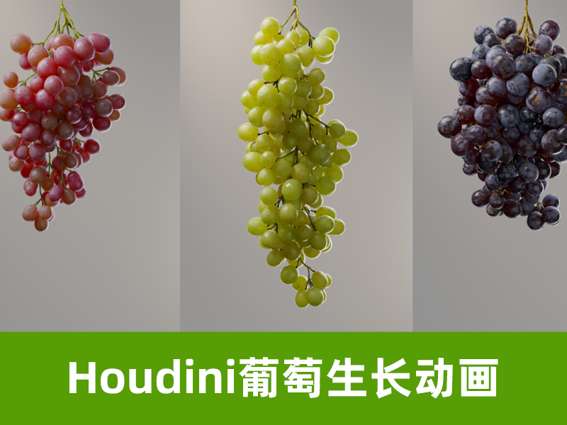 Houdini 程序化葡萄生成器 （HDA）