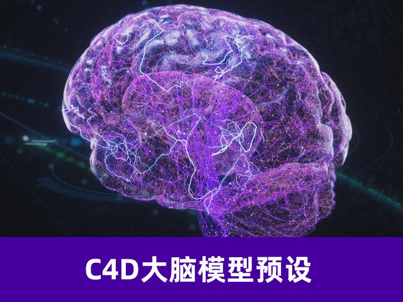 C4D大脑头像预设文件