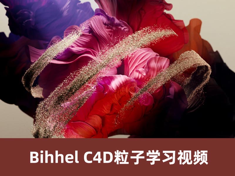 Bihhel的粒子会员频道